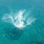 Bozana Lägenhet Trogir