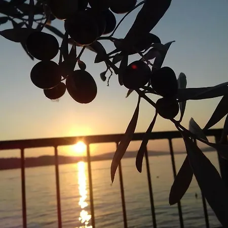 Bozana Apartment Trogir