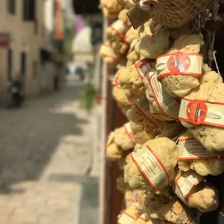 Bozana Trogir