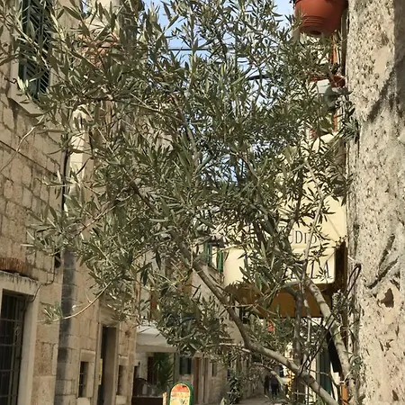 Bozana Trogir