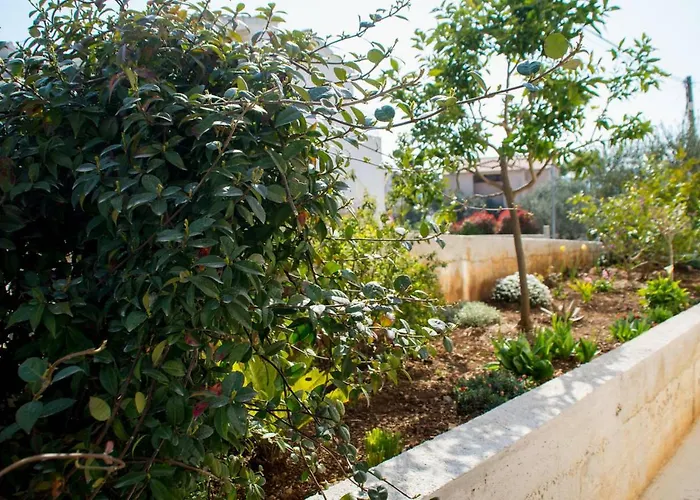 شقة Bozana *