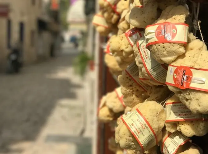 Bozana טרוגיר