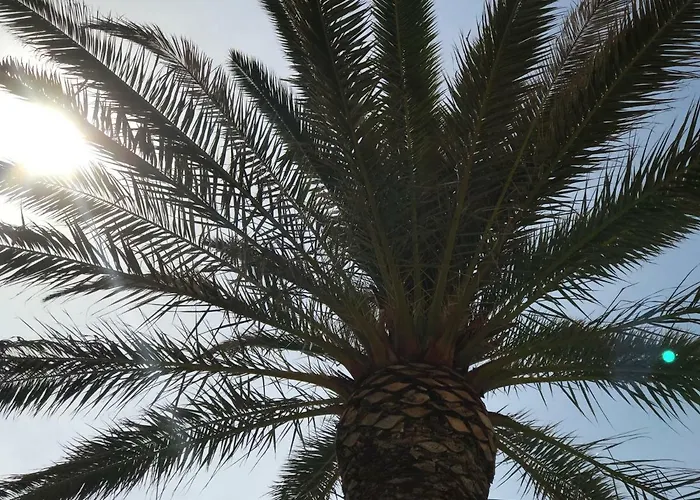 Bozana شقة تروغير