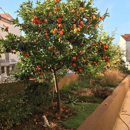 Bozana Apartament Trogir