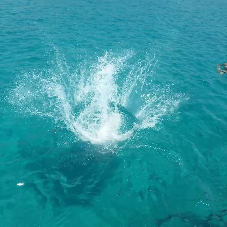 Bozana Apartament Trogir