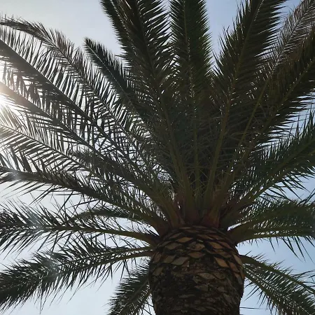 Bozana Apartament Trogir